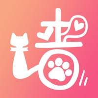 趴趴墙