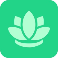 桩者