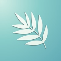 薄荷翻译:多语言文字文本互译