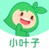 小叶子智能陪练版