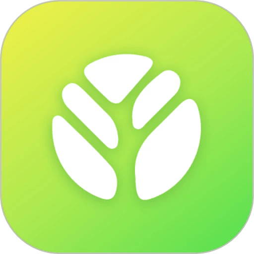 树新风treeow