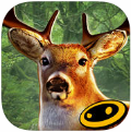 猎鹿人2014