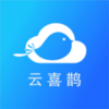 云喜鹊 v1.2.7