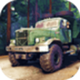 卡车司机山上交货