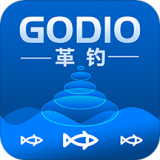 GODIO vV1.1.12