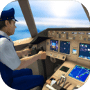 tfs飞行模拟器 vv2.1.14