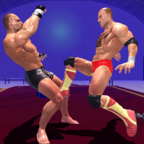 虚拟健身房格斗 vv1.0.17