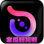 木瓜短视频手机版 vv1.12