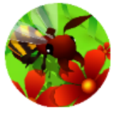 蜜蜂进化3D vv1鐎瑰宕渧1.21