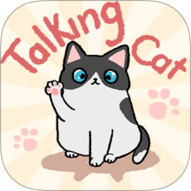 趣味找猫猫先行服