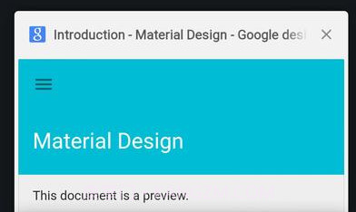 Chrome Dev APPv81.0.4021.9截图