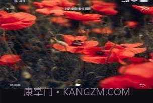 丝瓜编辑v1.0.11截图