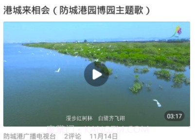 今日防城港v2.5.0v2.5.6截图