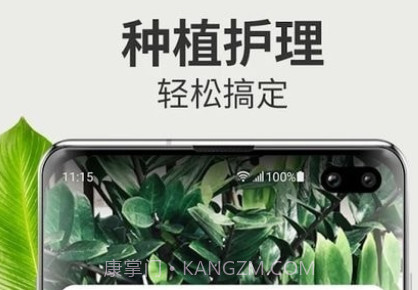 Blossom植物识别v1.1.14截图