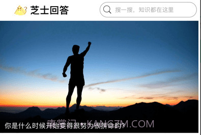 芝士问答v1.0.11截图