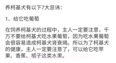 宠物点点v1.4.5截图
