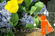 GIF工作室v2.8截图
