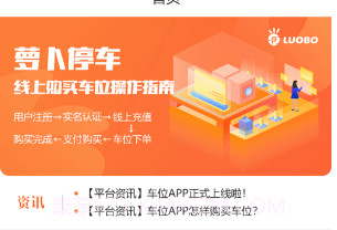萝卜停车v1.13截图