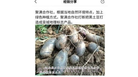 新农云企业版v1.0.12截图