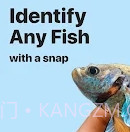 Picture Fish鱼类识别v2.4.9截图