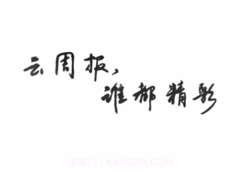 工作周报v1.0.13截图