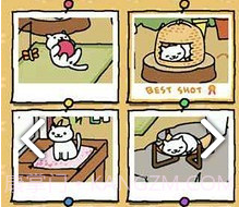 猫咪后院下载中文版v1.8截图