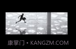 vue(VUE Vlog)v3.21.6截图