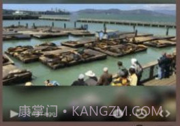 Live Camera Viewer软件v1.7截图