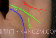 免费拍照看手相算命V1.0.8截图