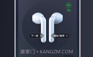 iFLYBUDSV3.1.8截图