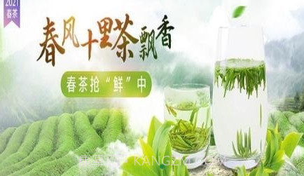 茶友会v0.0.8截图