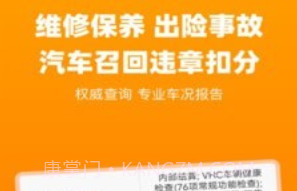 车况查询v1.3.15截图