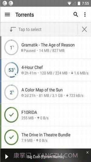 bitcomet3.27.04截图