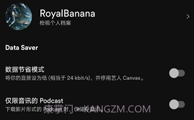 声破天Spotifyv8.8.62.10截图