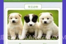 动物园首富v1.9截图