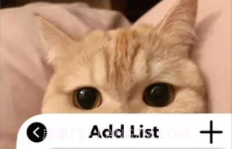 爱猫物语宠物店最新v3.43.9截图