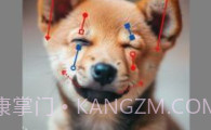 DragGAN AIV1.8截图