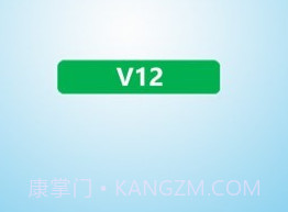 V12监控V4.1.12截图