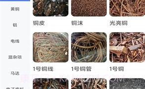 再生助手v1.0.6截图