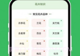 青沁睐匣子v1.0.12截图