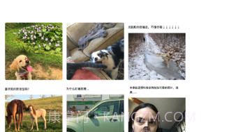 笑话段子v1.10截图