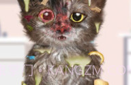 Cat MakeoverV5.1.8截图