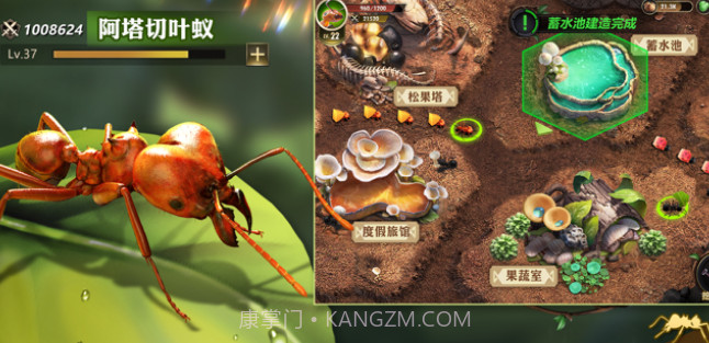 小小蚁国:真实蚂蚁世界v3.0.14截图