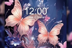 蝴蝶壁纸v2.133.35.10截图
