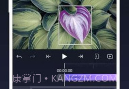 Alight Motion无水印版V4.0.9截图