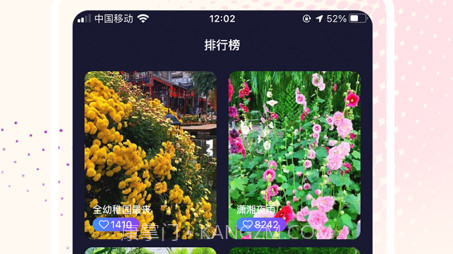 视频壁纸大全v1.11截图