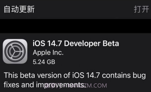 iOS14.7正式版v1.6截图