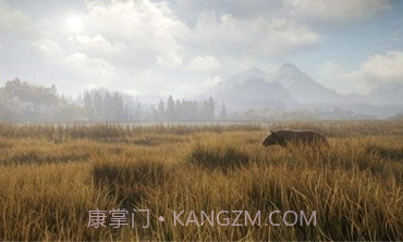 猎人：荒野的召唤正版v1.10截图