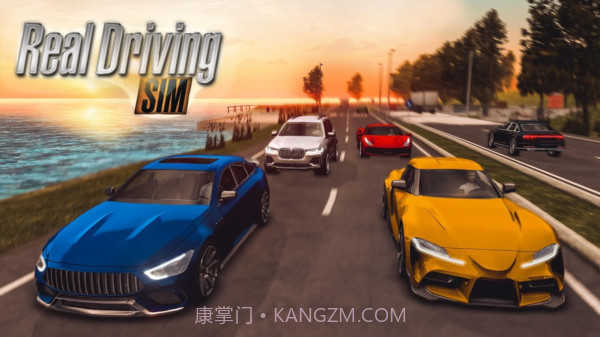 真实驾驶模拟v2.17截图
