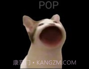PopCatv4.9.8截图